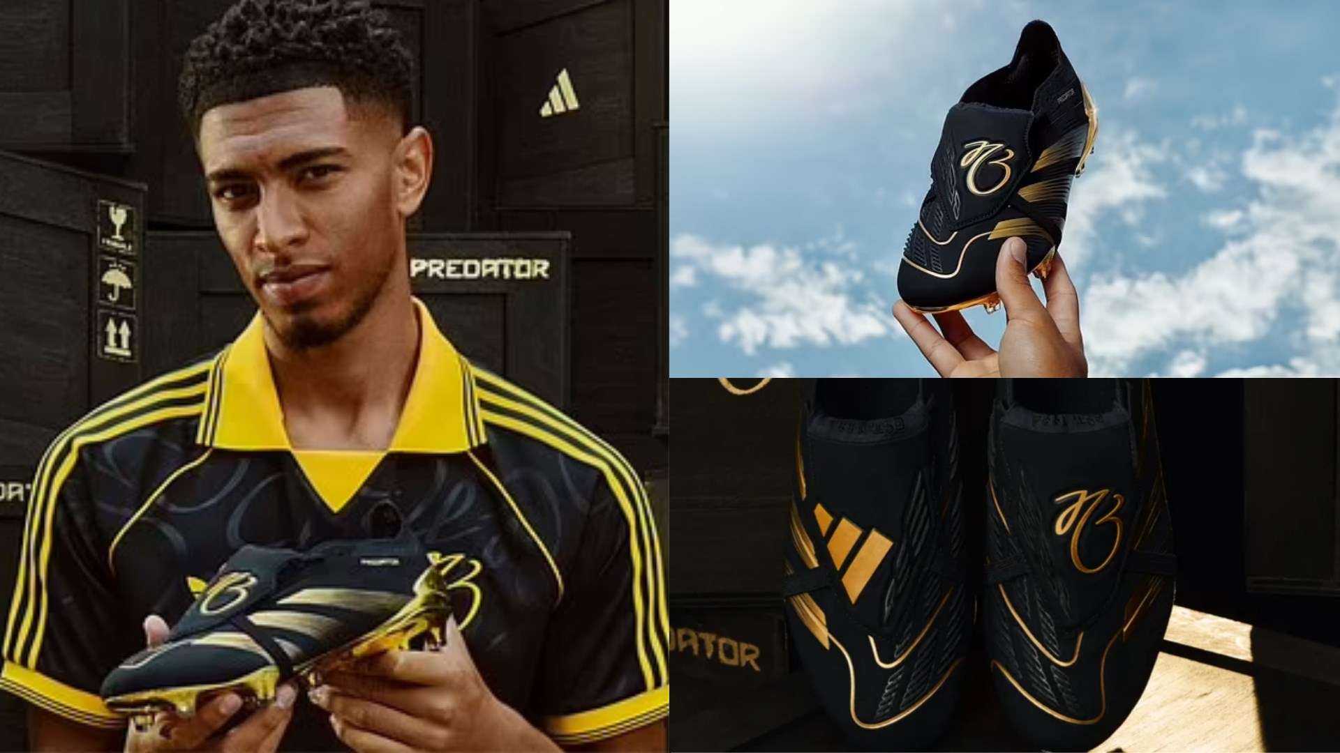 他的多面手 他的多面手